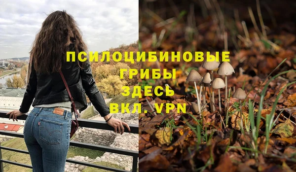 мескалин Пестово
