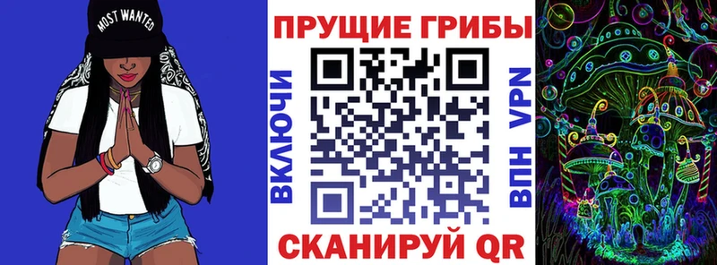 купить закладку  Белый  Псилоцибиновые грибы Psilocybine cubensis 