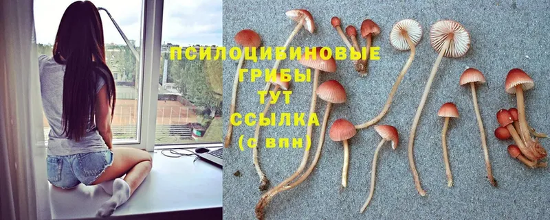 Галлюциногенные грибы ЛСД  Белый 